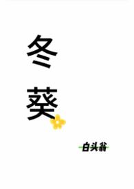 冬葵